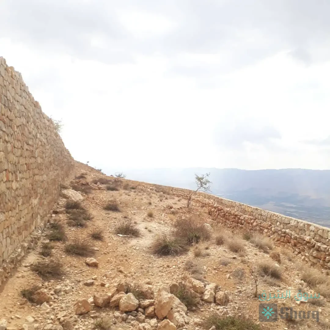 ارض للبيع — 3