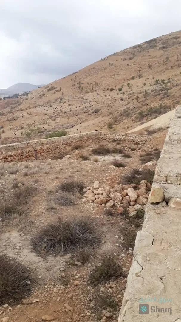 ارض للبيع — 7