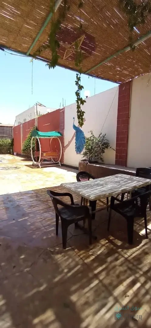 مزرعة للأيجار  اليومي — 5