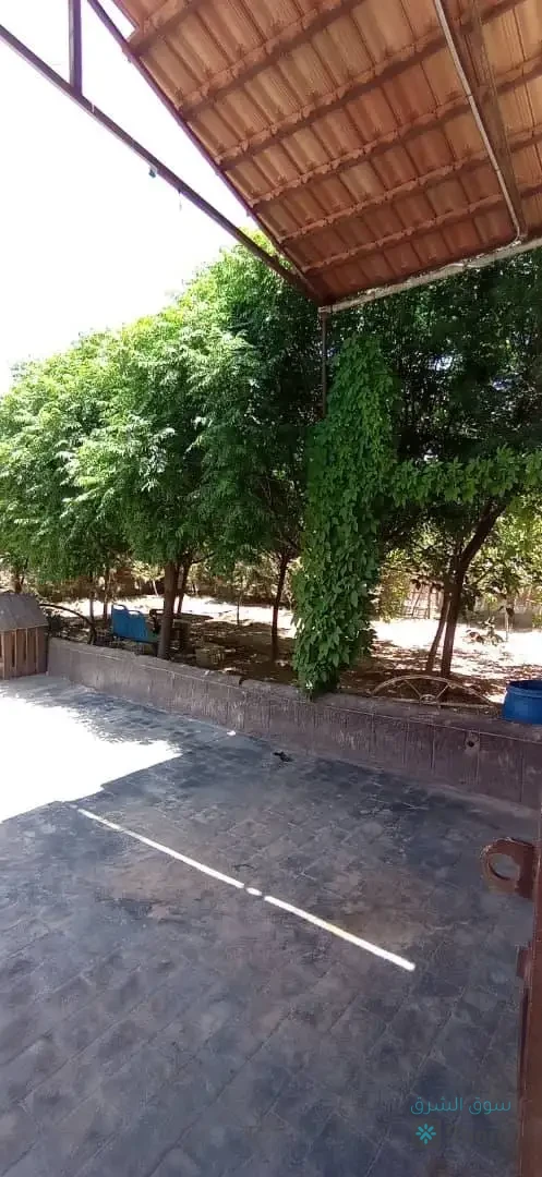 مزرعة للأيجار  اليومي — 6