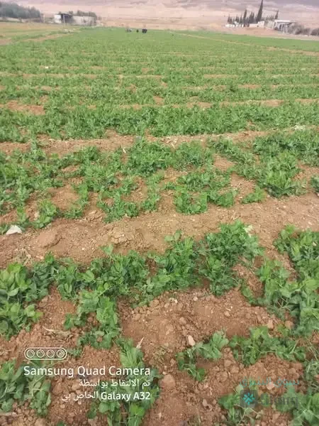 للبيع أرض — 2