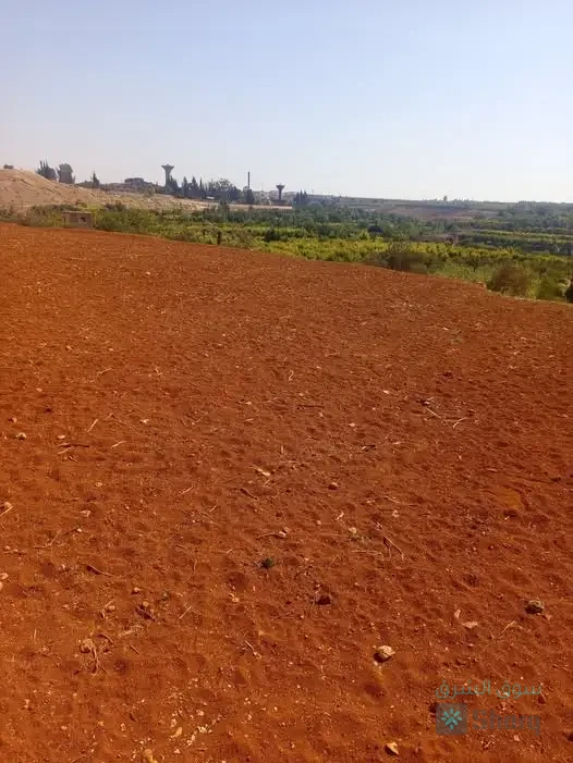 ارض للبيع