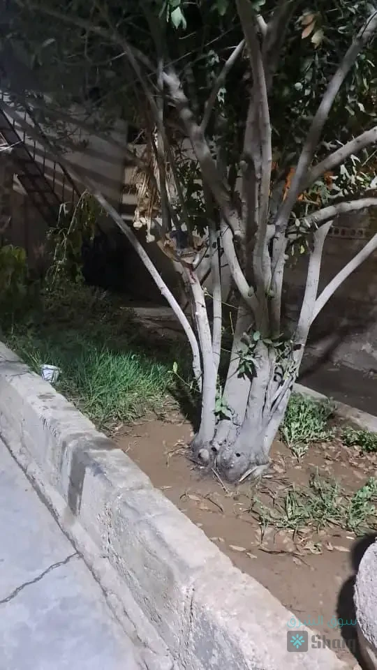 منزل للبيع — 2