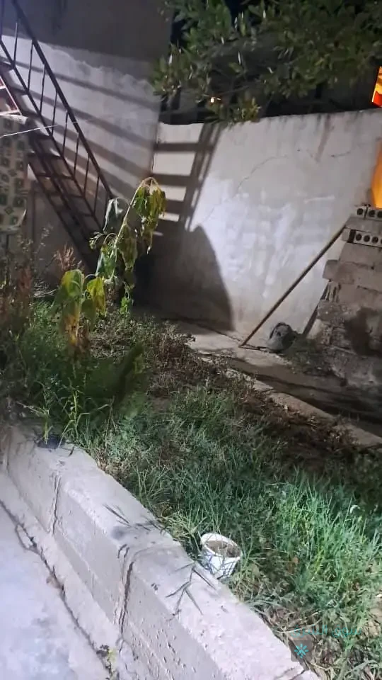 منزل للبيع — 5