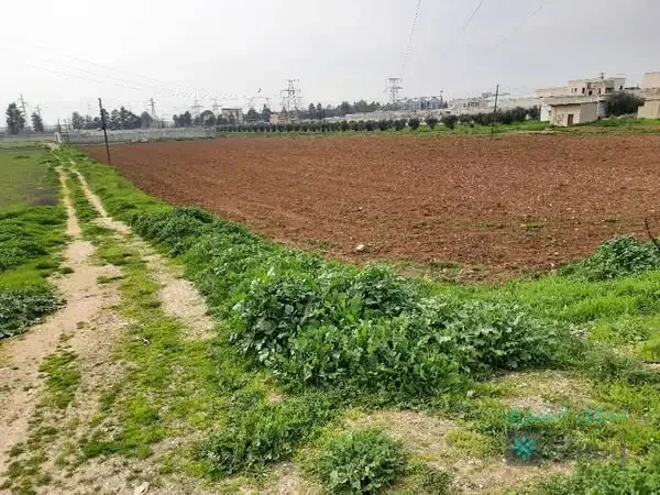 للبيع ارض — 3