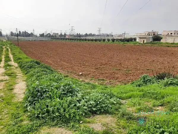 للبيع ارض — 5