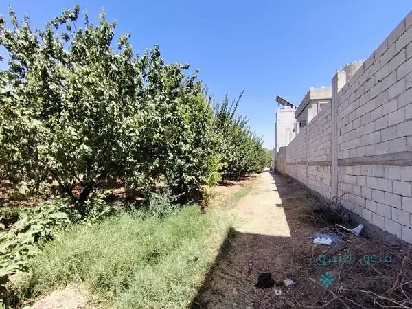 للبيع ارض — 2