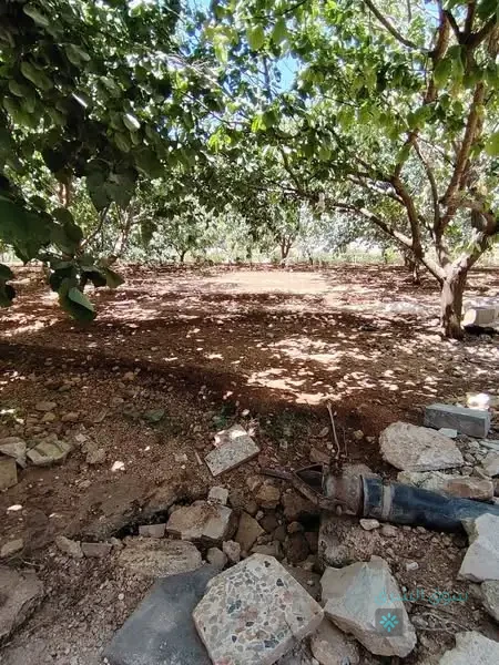 للبيع ارض — 3