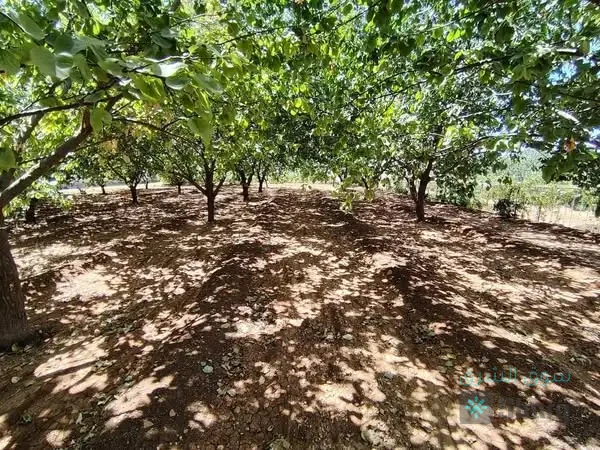 للبيع ارض — 4