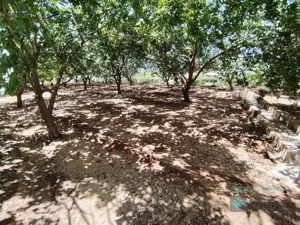 للبيع ارض — 5