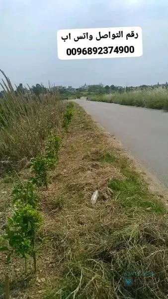 أرض  للبيع
