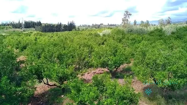 أرض  للبيع — 4