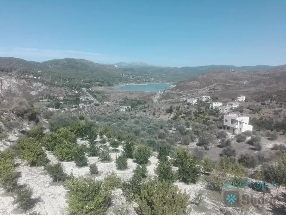 للبيع مزرعة — 5