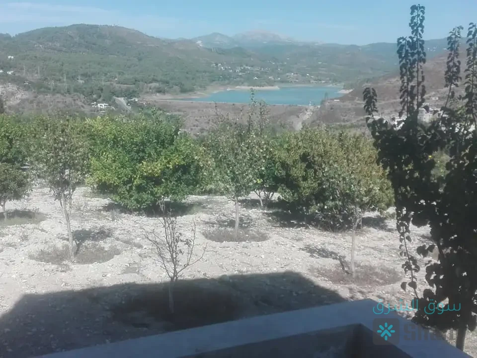 للبيع مزرعة — 6