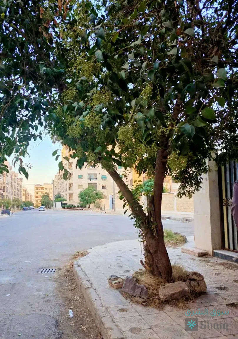 منزل للآجار — 3