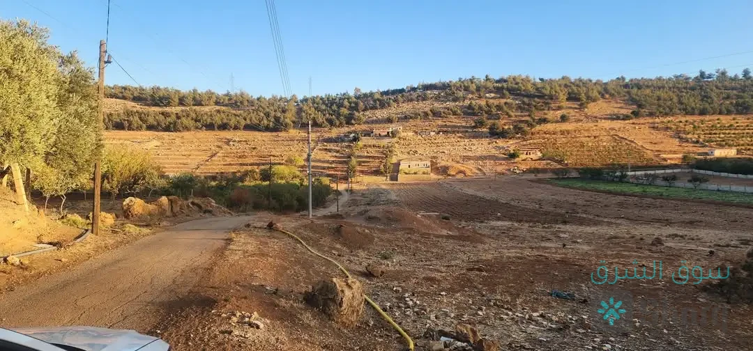 ارض للبيع