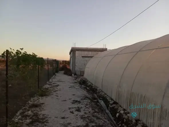 مزرعة للبيع