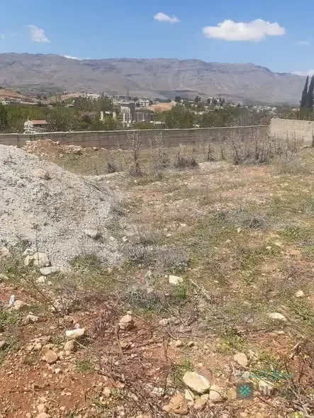 للبيع محضر — 2