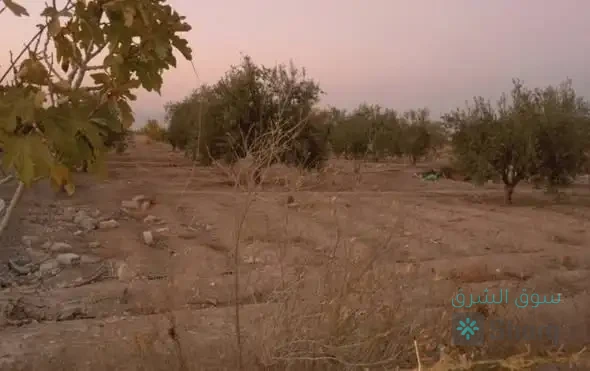 للبيع ارض — 2