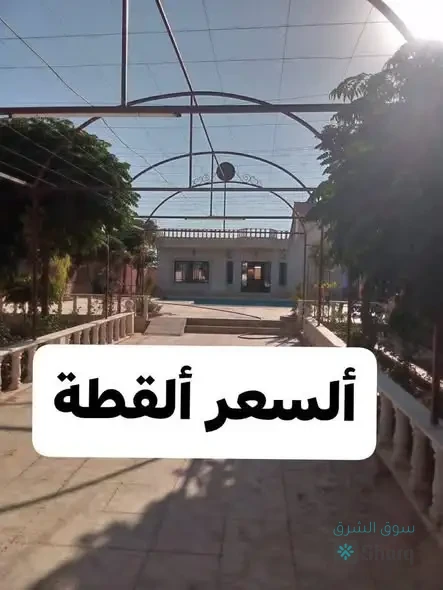 للبيع مزرعة — 2