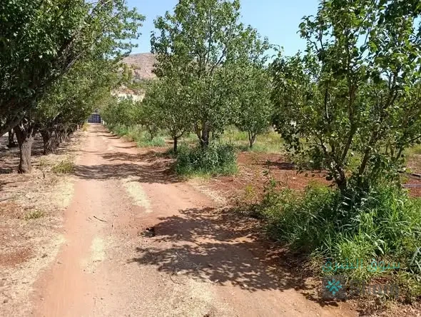 ارض للبيع — 2