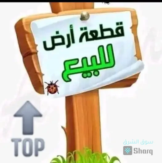 _ أرض كبيرة للبيع