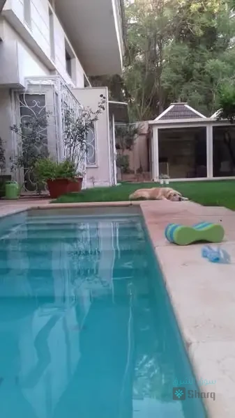 فيلا للبيع — 2