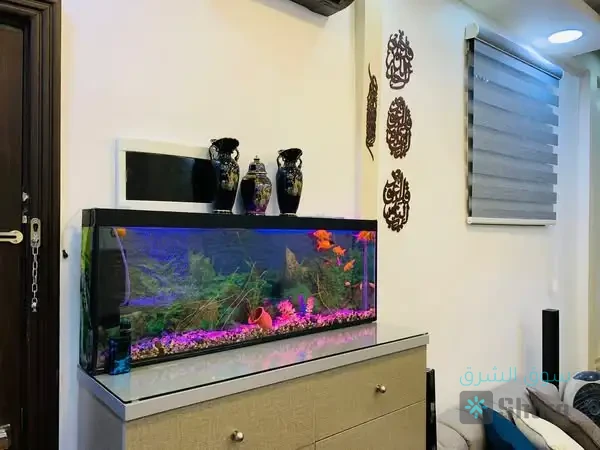 منزل للايجار — 5