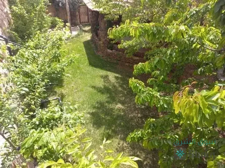 مزرعة للايجار — 2