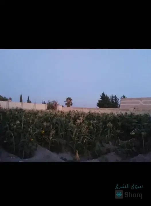 ارض للبيع