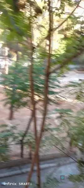 منزل للايجار — 2