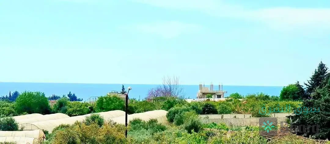 مزرعة للبيع