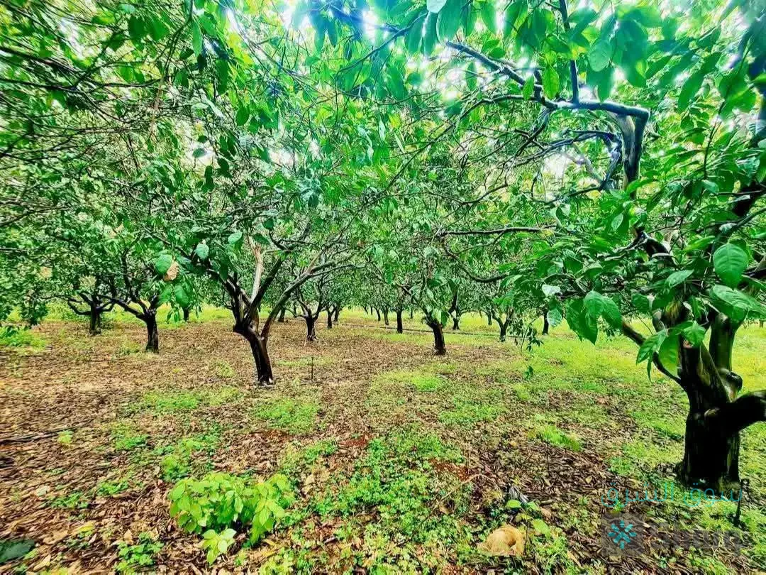 مزرعة للبيع — 2