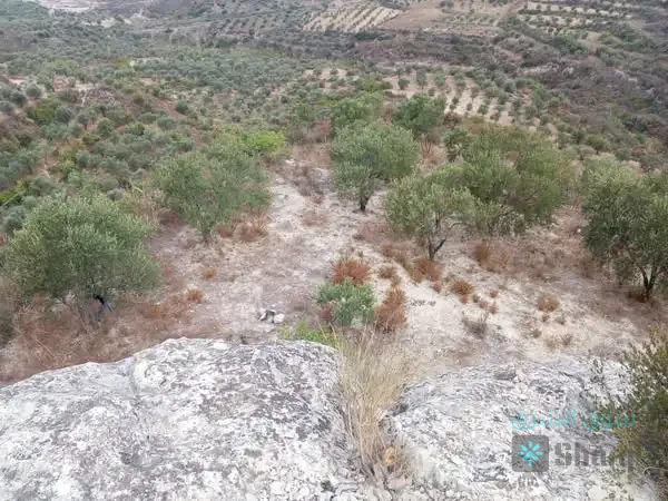 ارض للبيع — 2