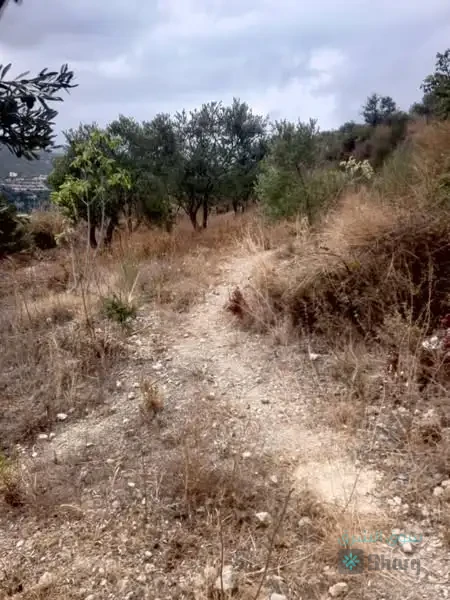 ارض للبيع — 3