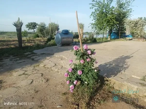 مزرعة للبيع — 2