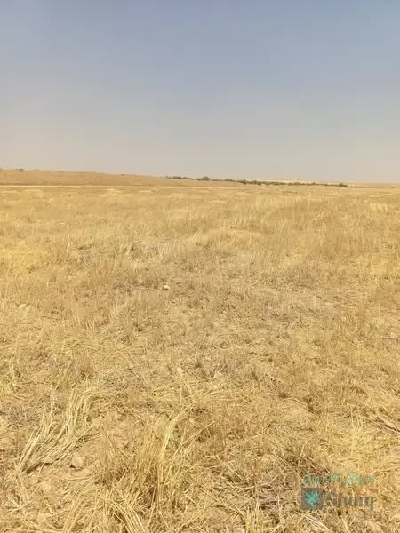 ارض للبيع — 2