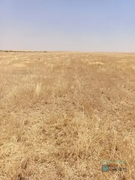 ارض للبيع — 3