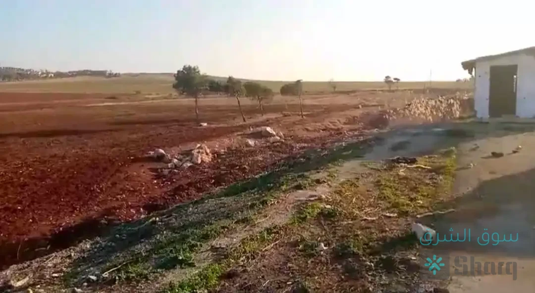 ارض للبيع — 3