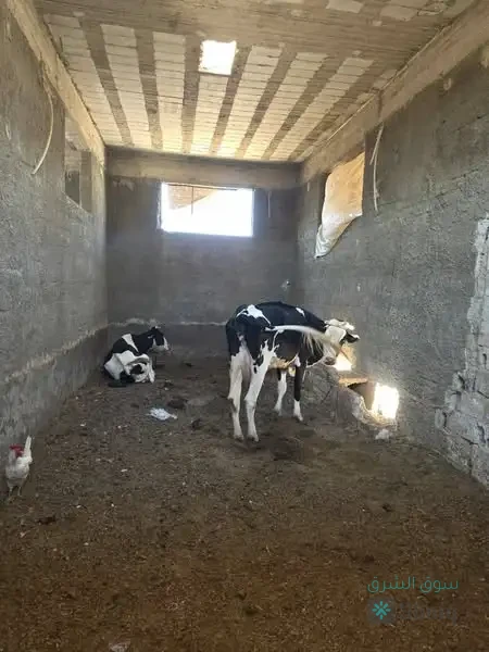 مزرعة للبيع — 3