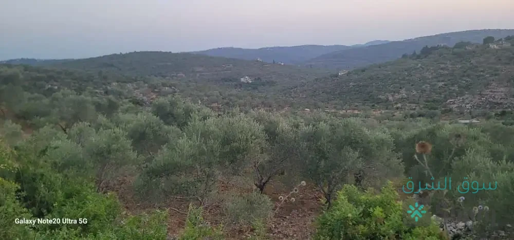 ارض للبيع — 2