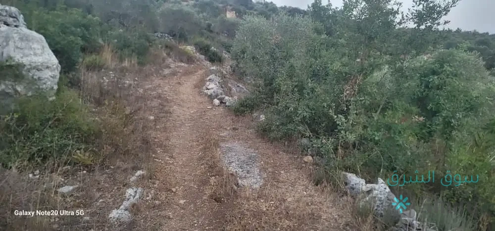 ارض للبيع — 4