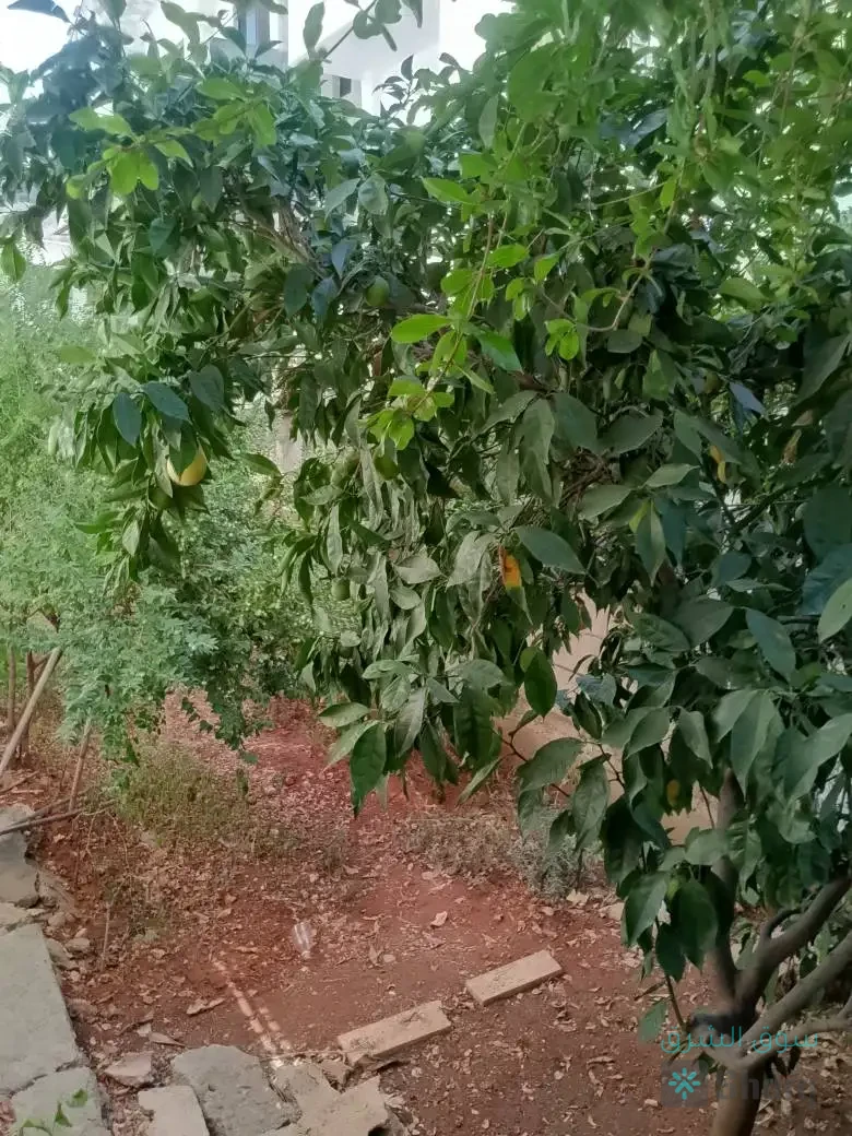 منزل للبيع — 3