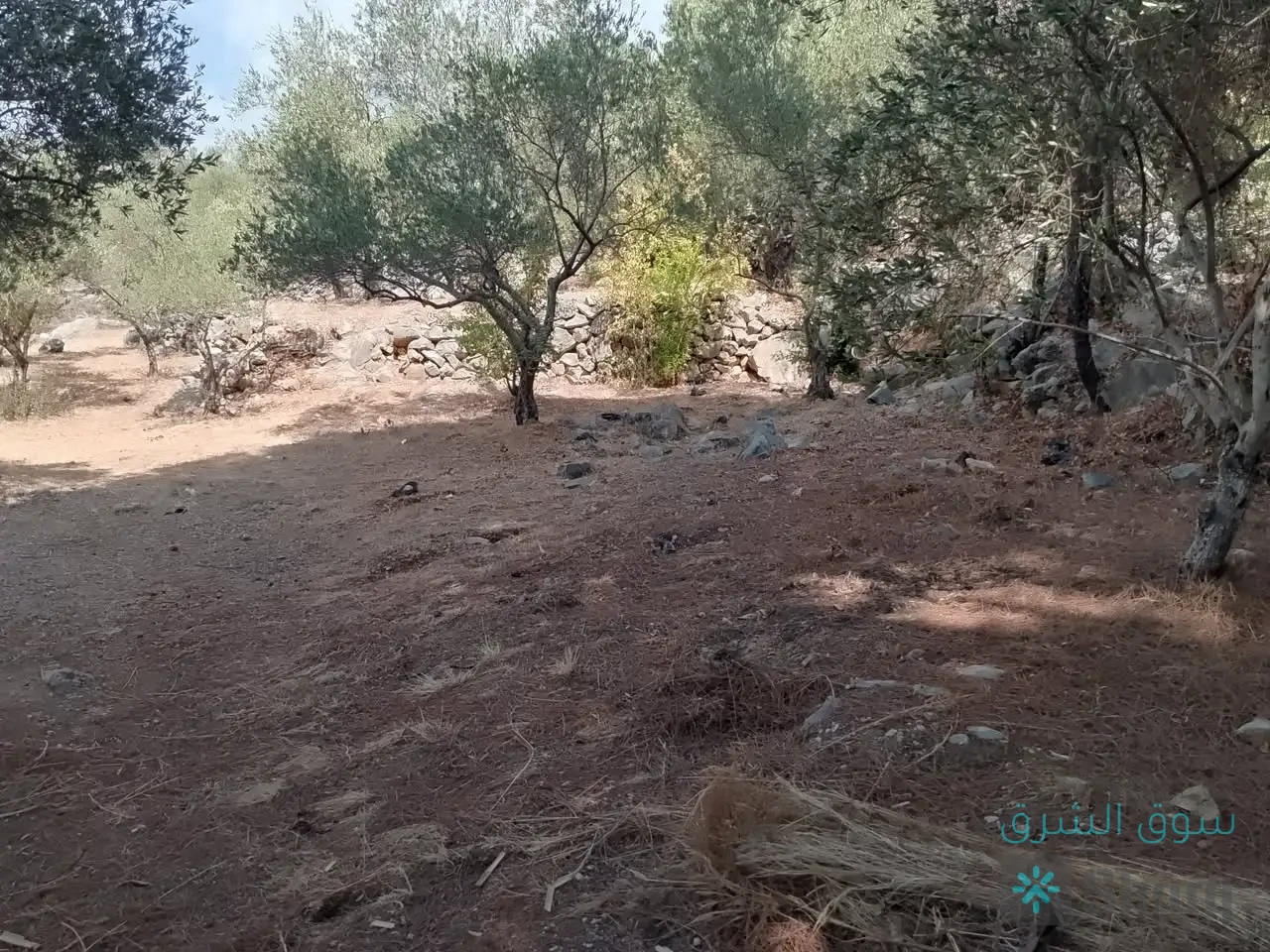 منزل للبيع — 4