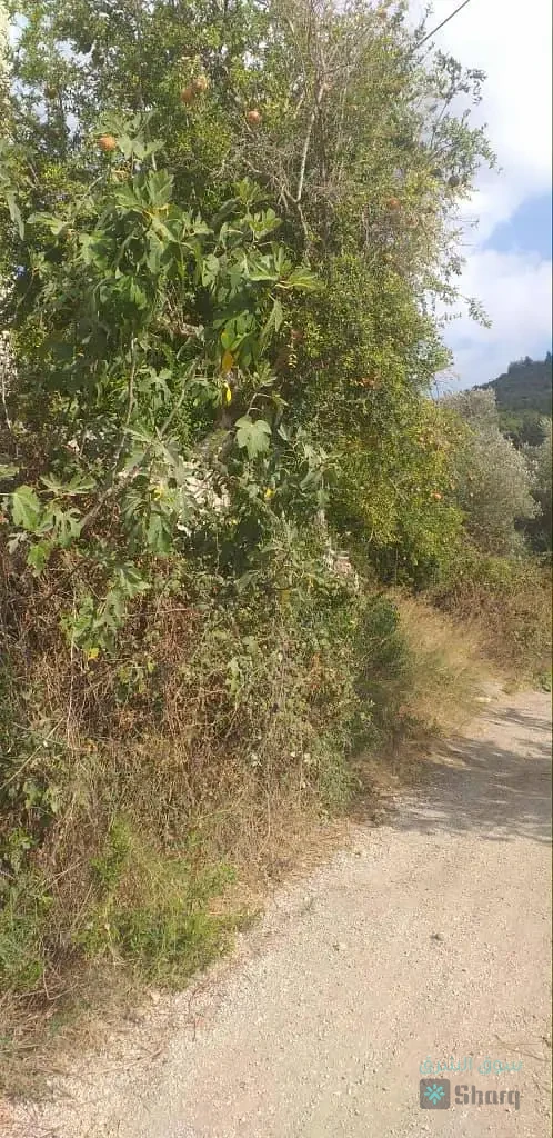 منزل للبيع — 3