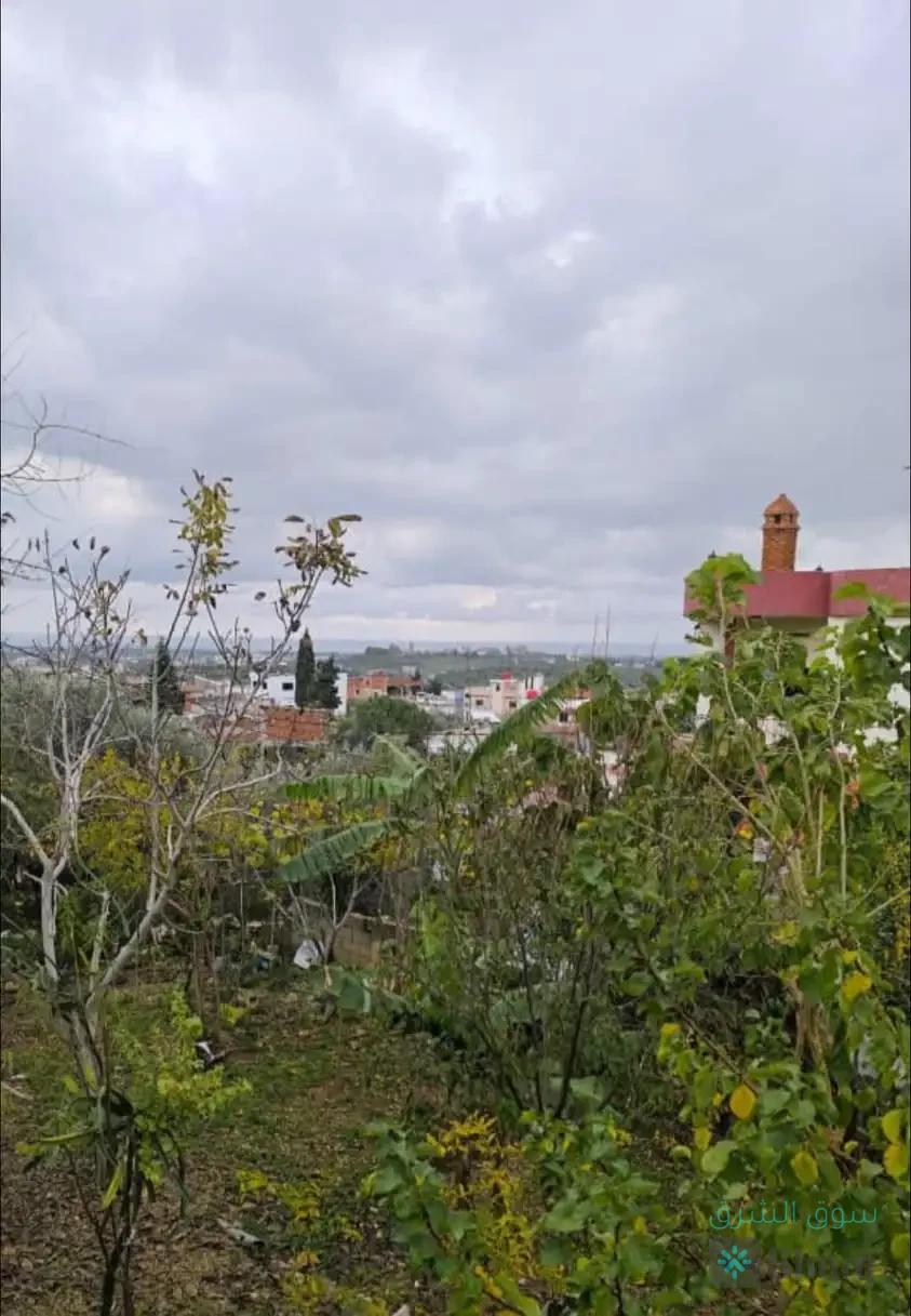 ارض للبيع — 2