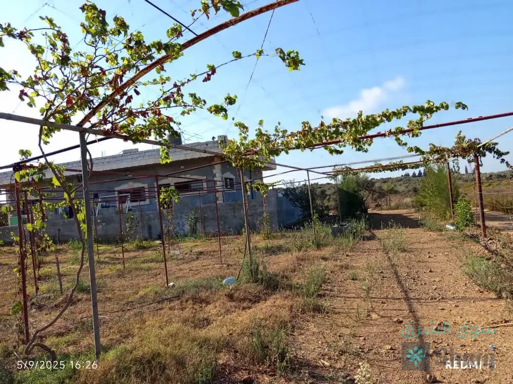 ارض للبيع — 2