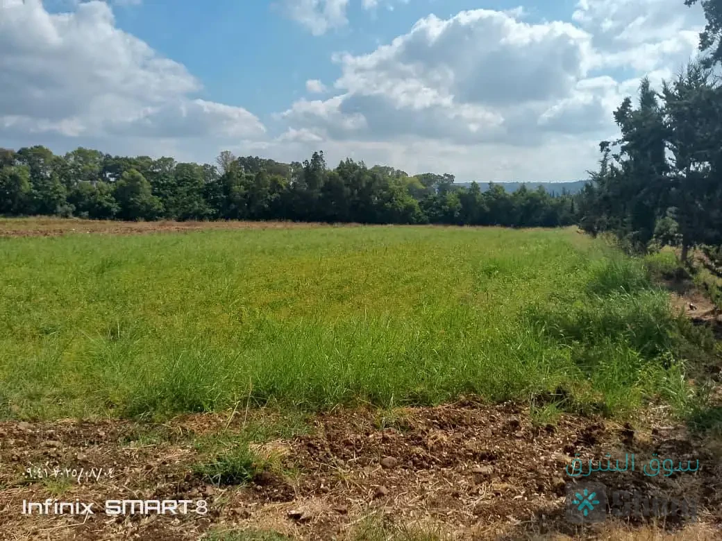 ارض للبيع — 2