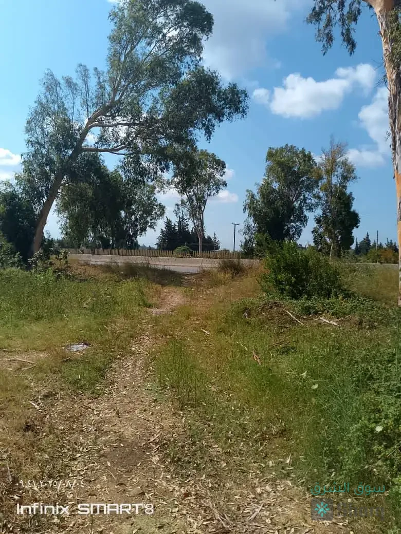 ارض للبيع — 3