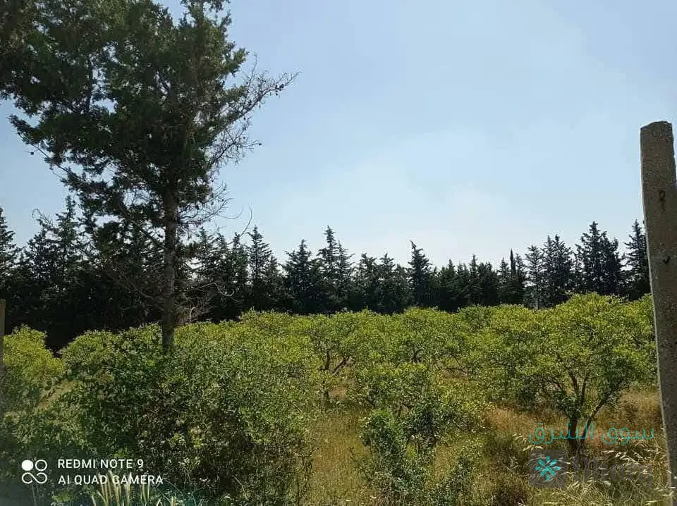 ارض للبيع — 2